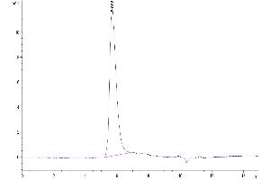 The purity of Human ITGAV&ITGB6 is greater than 95 % as determined by SEC-HPLC. (Integrin alpha V beta 6 (ITGAV & ITGB6) Heterodimer (AA 31-992) protein (His-Avi Tag))