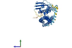 Protein Structure (PS) image for Sorting Nexin 6 (SNX6) (AA 1-406) protein (His tag) (ABIN7564094)