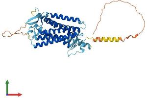 AlphaFold protein structure predicition of Human Recombinant TACR2 Protein, UniprotID P21452
