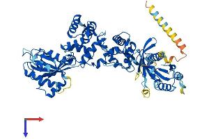 RHOT2 Protein (AA 1-620) (His tag)