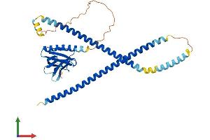 Protein Structure (PS) image for Homer Homolog 3 (Drosophila) (HOMER3) (AA 1-356) protein (His tag) (ABIN7560316)