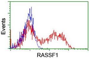 HEK293T cells transfected with either RC213525 overexpress plasmid (Red) or empty vector control plasmid (Blue) were immunostained by anti-RASSF1 antibody (ABIN2454291), and then analyzed by flow cytometry. (RASSF1 Antikörper  (AA 1-341))