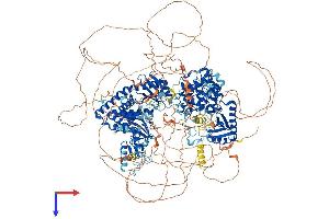 ZCCHC11 Protein (AA 1-1644) (His tag)