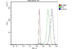 Flow Cytometry analysis of HepG2 cells using anti-JHDM3A/JMJD2A/KDM4A antibody (ABIN7601534).