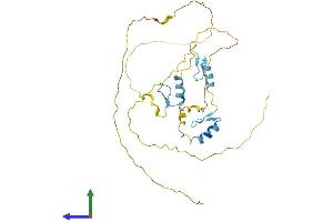 AlphaFold protein structure predicition of Human Recombinant ZNF414 Protein, UniprotID Q96IQ9