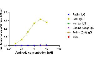 Goat IgG was coated on an ELISA plate at 100 ng. (Rekombinanter Maus anti-Ziege IgG Antikörper)