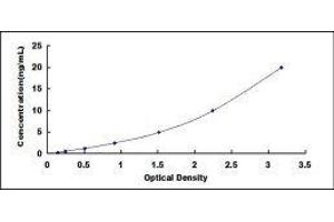 Sphingosine-1-Phosphate Receptor 1 (S1PR1) ELISA Kit