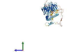 Protein Structure (PS) image for Tripartite Motif Containing 32 (TRIM32) (AA 1-655) protein (His tag) (ABIN7559335)