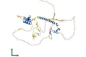 Protein Structure (PS) image for E2F Transcription Factor 2 (E2F2) (AA 1-443) protein (His tag) (ABIN7556498)