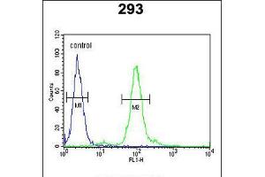 Flow cytometric analysis of 293 cells (right histogram) compared to a negative control cell (left histogram). (FAU Antikörper)