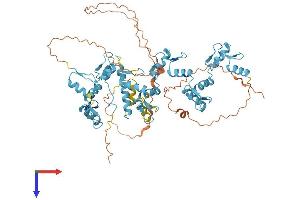 ZNF264 Protein (AA 1-627) (His tag)