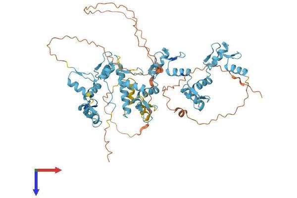 ZNF264 Protein (AA 1-627) (His tag)