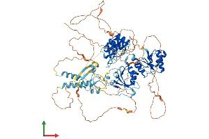 Protein Structure (PS) image for BRCA1 Associated RING Domain 1 (BARD1) (AA 1-777) protein (His tag) (ABIN7552655)