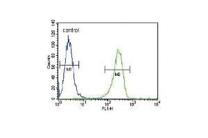 Flow Cytometry (FACS) image for anti-Plasminogen Activator, Tissue (PLAT) (AA 371-399) antibody (ABIN390746)