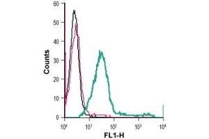 Cell surface detection of GPR65 in live intact human Jurkat T-cell leukemia cells: (black line) Cells. (GPR65 Antikörper  (Extracellular) (FITC))