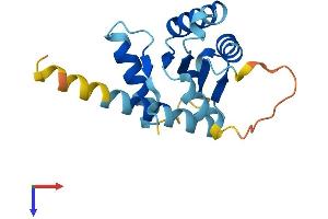 GADD45A Protein (AA 1-165) (His tag)
