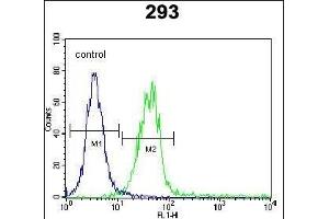 Flow Cytometry (FACS) image for anti-C-Type Lectin Domain Family 11, Member A (CLEC11A) (AA 145-174) antibody (ABIN655039)