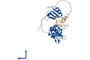 Protein Structure (PS) image for ELAV-Like 3 (ELAVL3) (AA 1-367) protein (His tag) (ABIN7557634)