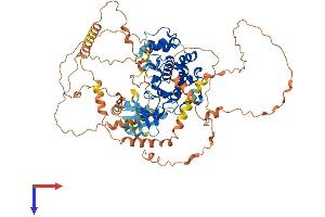 MAPK6 Protein (AA 1-720) (His tag)