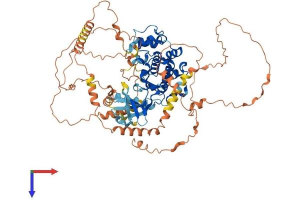 MAPK6 Protein (AA 1-720) (His tag)
