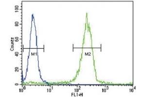 Flow Cytometry (FACS) image for anti-Suppressor of Cytokine Signaling 1 (SOCS1) (AA 35-66) antibody (ABIN3029042)