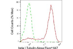 Flow cytometric analysis of beta I Tubulin expression in HAP-1 cells using beta I Tubulin antibody (ABIN7800668), 1:2,000).