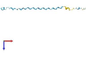 SPRR2D Protein (AA 1-72) (Fc Tag)