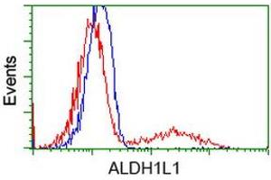 HEK293T cells transfected with either RC213720 overexpress plasmid (Red) or empty vector control plasmid (Blue) were immunostained by anti-ALDH1L1 antibody (ABIN2452743), and then analyzed by flow cytometry. (ALDH1L1 Antikörper)