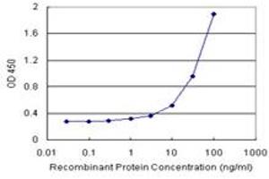 Sandwich ELISA detection sensitivity ranging from 1 ng/mL to 100 ng/mL.
