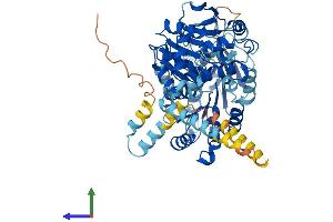 AlphaFold protein structure predicition of Mouse Recombinant Ddx55 Protein, UniprotID Q6ZPL9 (DDX55 Protein (AA 1-600) (His tag))