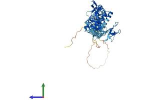 Protein Structure (PS) image for Ring Finger Protein 14 (RNF14) (AA 1-474) protein (His tag) (ABIN7551460)
