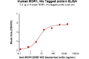 ELISA image for Receptor Tyrosine Kinase-Like Orphan Receptor 1 (ROR1) (AA 30-403) protein (His tag) (ABIN6964103)