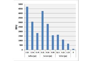 Biochemical Assay (BCA) image for Lactate Assay Kit (Fluorometric) (ABIN5067558)