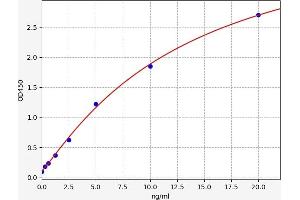 PLSCR1 ELISA Kit