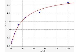 Annexin A5 (ANXA5) ELISA Kit