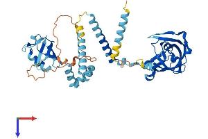 DDI2 Protein (AA 1-399) (His tag)