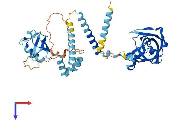 DDI2 Protein (AA 1-399) (His tag)