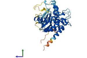Protein Structure (PS) image for PDZ Binding Kinase (PBK) (AA 1-330) protein (His tag) (ABIN7561572)