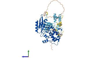 AlphaFold protein structure predicition of Human Recombinant PRKAA1 Protein, UniprotID Q13131