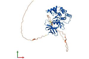 Protein Structure (PS) image for Casein Kinase 1, gamma 2 (CSNK1G2) (AA 1-415) protein (His tag) (ABIN7564439)
