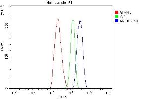 Flow Cytometry analysis of C6 cells using anti-Androgen Receptor/AR antibody (ABIN7602200).