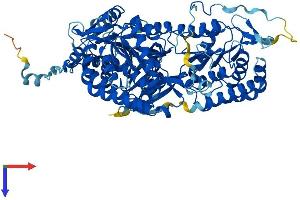 ALDH16A1 Protein (AA 1-802) (His tag)