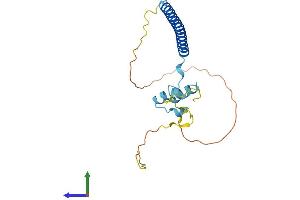 Protein Structure (PS) image for Coiled-Coil Domain Containing 53 (CCDC53) (AA 1-194) protein (His tag) (ABIN7560603)