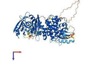 SYK Protein (AA 1-635) (His tag)