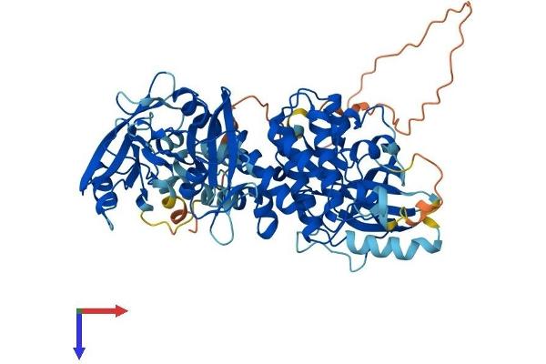SYK Protein (AA 1-635) (His tag)