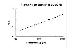Typical Standard Curve