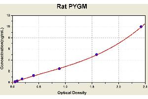 Diagramm of the ELISA kit to detect Rat PYGMwith the optical density on the x-axis and the concentration on the y-axis.