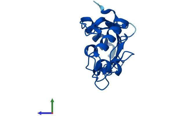 UBE2L6 Protein (AA 1-153) (His tag)