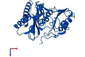 IMPA1 Protein (AA 1-277) (His tag)