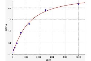 TRUB1 ELISA Kit